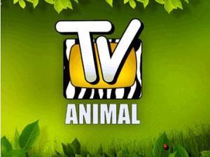Tv Animal