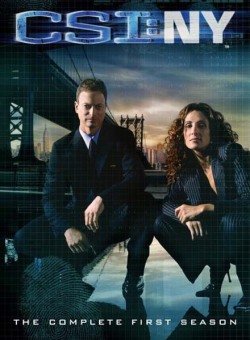 Baixar CSI New York 1 ,2ª Temporada DVDRip AVI Dublado